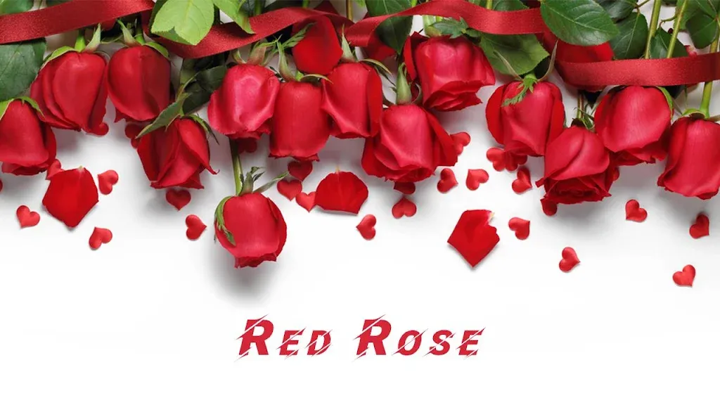 تحميل Red Rose APK تطبيق لوحة المفاتيح